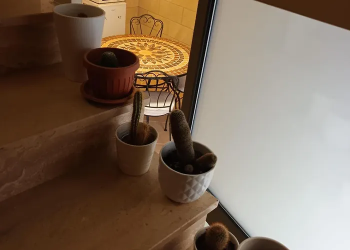 Maison Voltige * בארי